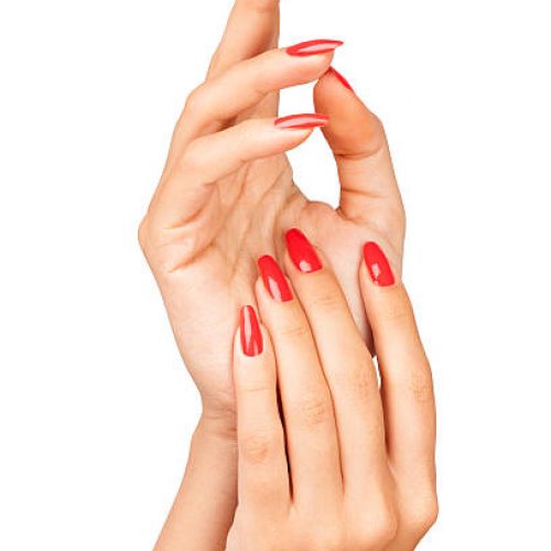 hands manicure isolated on white background